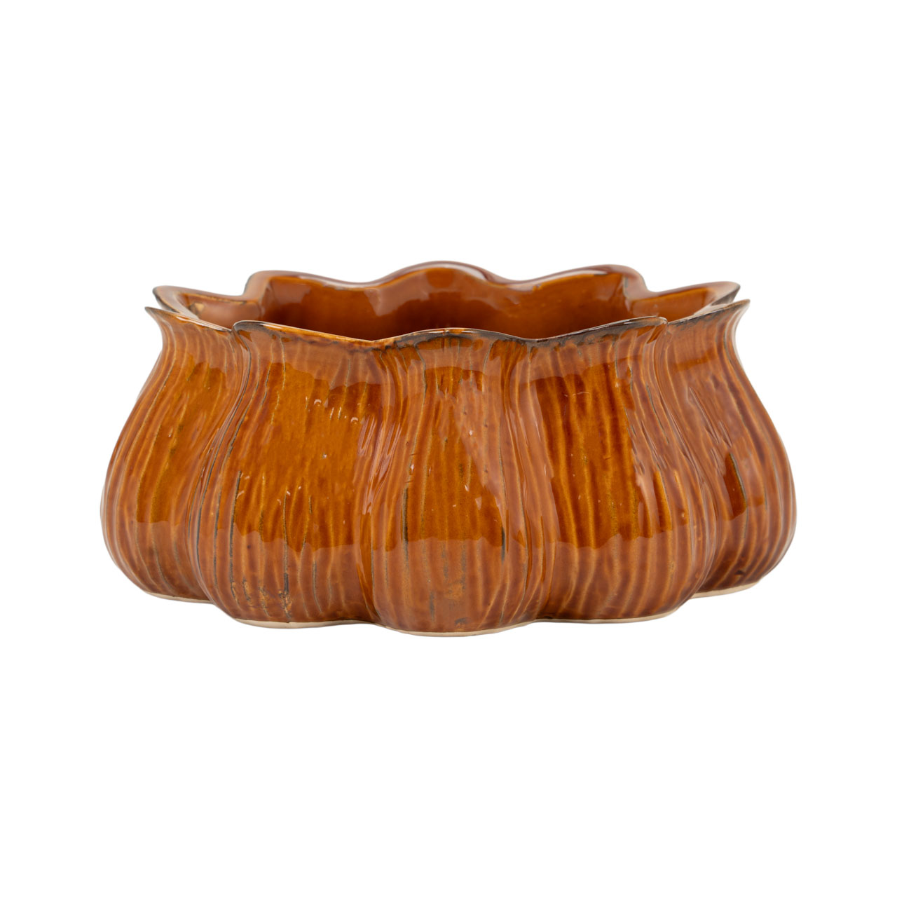 Rodney Planter 2