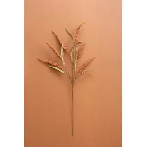 Botanica #9071 1
