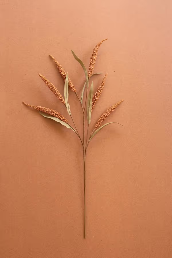 Botanica #9071