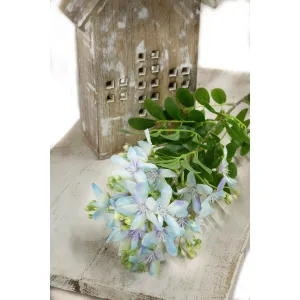 Blue Phlox 36in 1