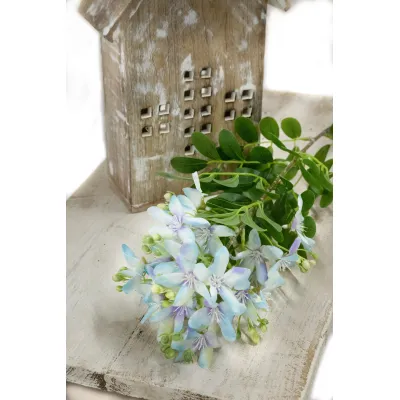Blue Phlox 36in