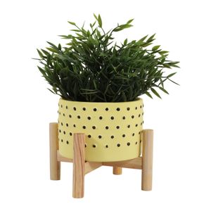 COLECREST YELLOW PLANTER 6 (IN) 3