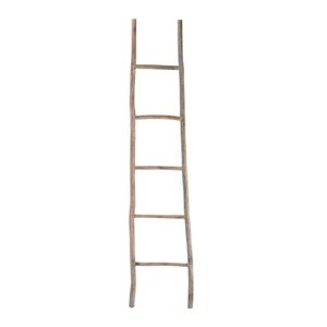 Lydia Wood Ladder - Large Bleached 3