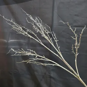 Brush Stem 1