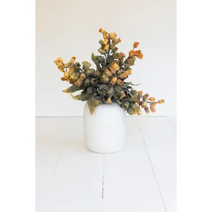 Botanica #2776 1
