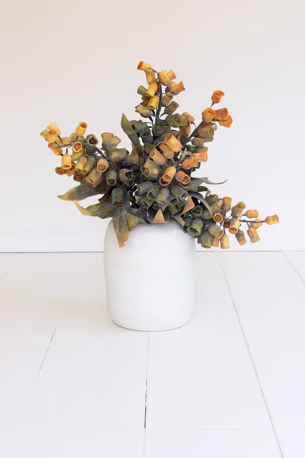 Botanica #2776