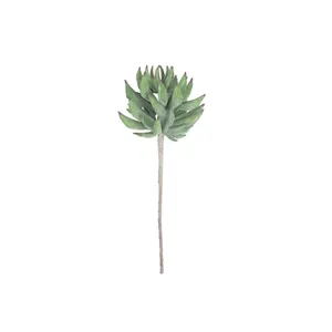 botanica #2859 4