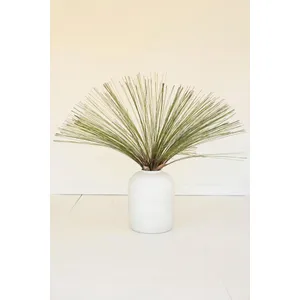 botanica #3677 1