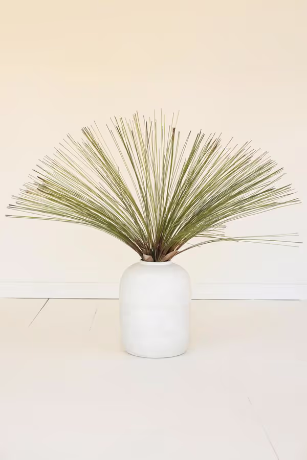 botanica #3677