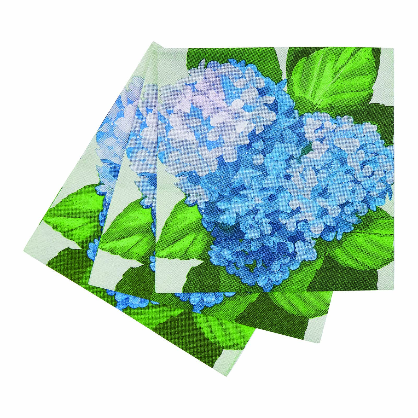 Blue Hydrangea
