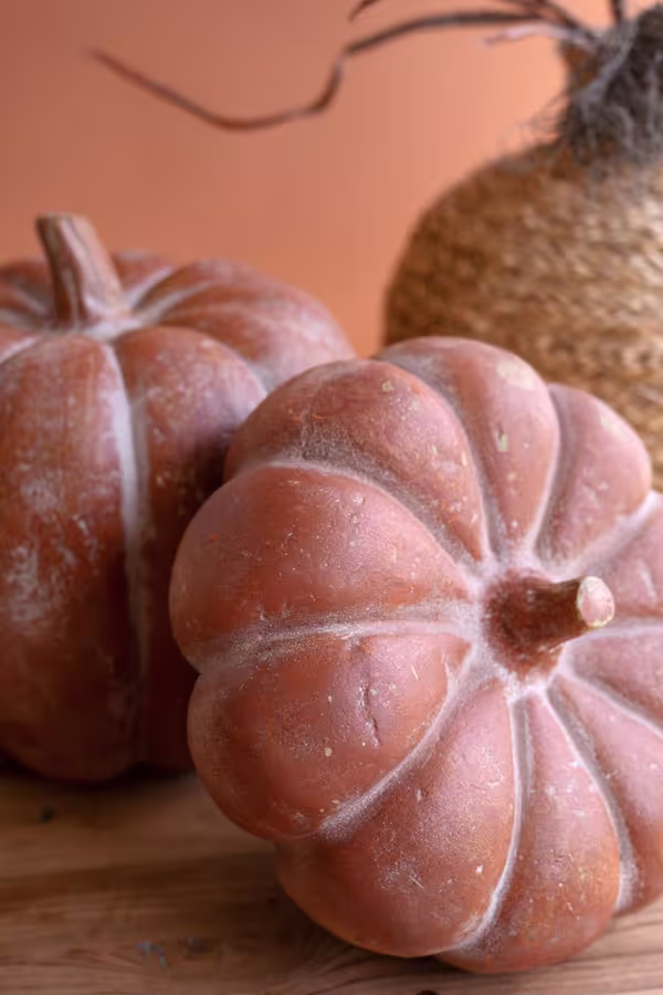 Set of 2 Paper Mache Pumpkins