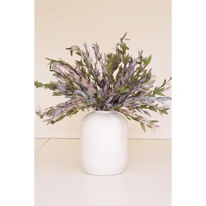 Botanica #2397 2