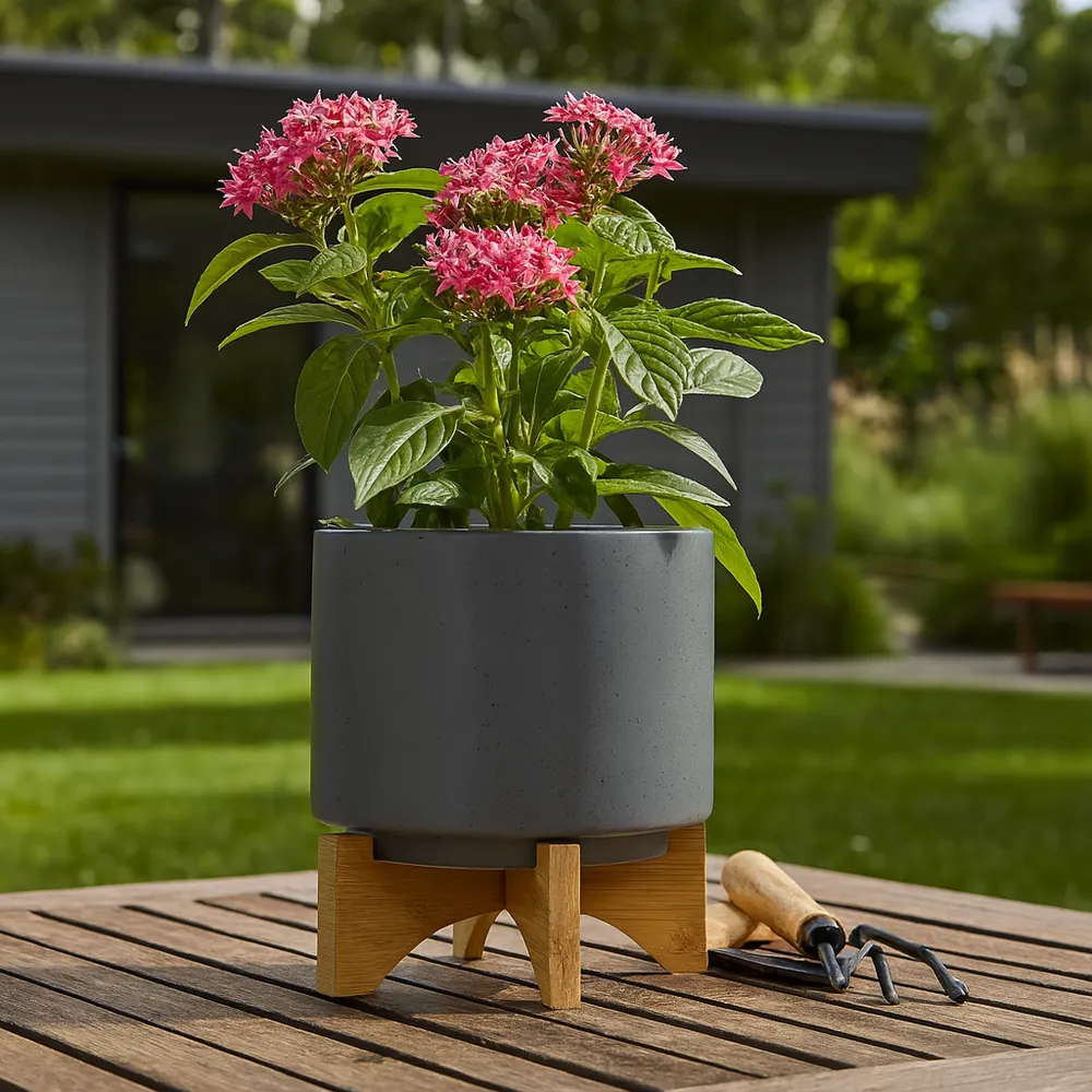 NORMAHAVEN GRAY PLANTER 9 (IN)