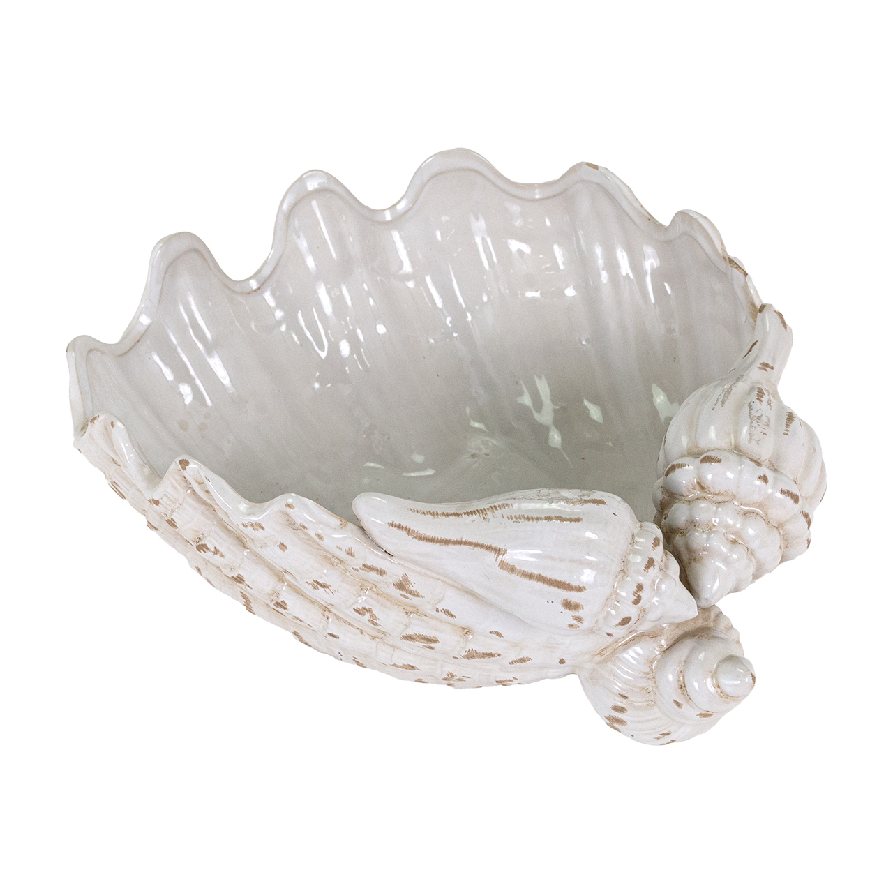 Giant Clamshell Bowl 8