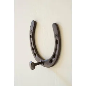 Cast Iron Horseshoe Hook 2