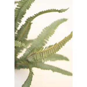 Botanica #9076 4