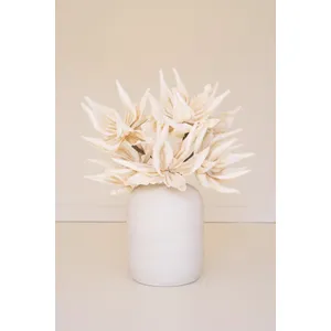 Botanica #2446 2
