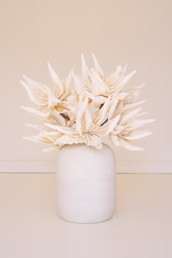 Botanica #2446