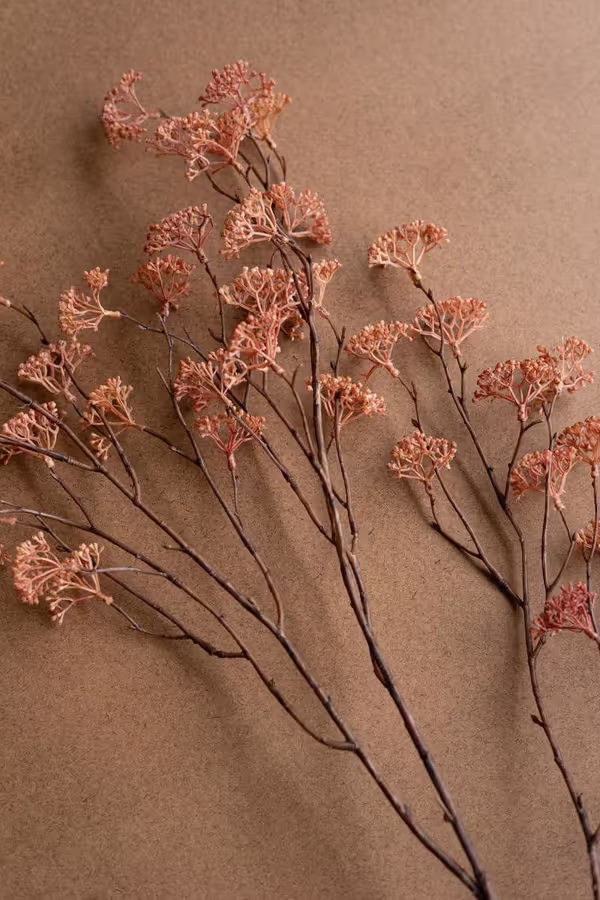 Artificial Blush Rice Flower Stem