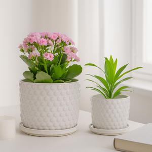 WINTONLAND SET OF 2 WHITE PLANTER 7 (IN) 11