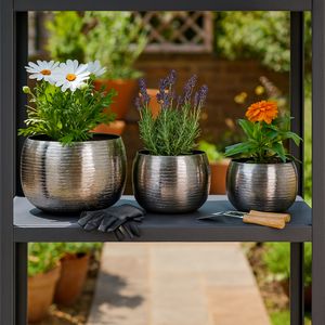 GLOVERTON SET OF 3 SILVER PLANTER 11 (IN) 2