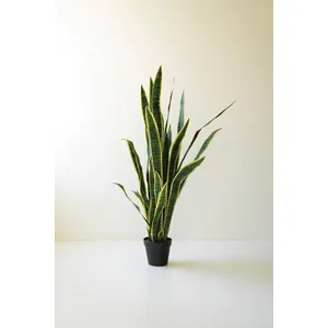 Tall Artificial Mother-In-Law Tongue in a Black Plastic Pot 1