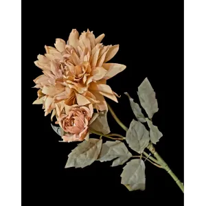 Honey Maple Mum 24in 2
