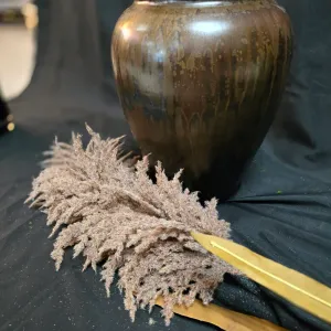 Brown Flocked Pampas 1