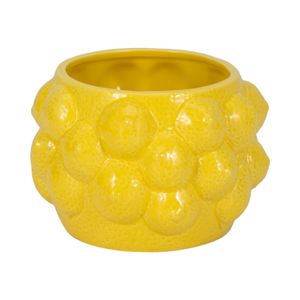 CALWIND YELLOW PLANTER 5 (IN) 3