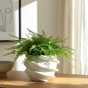 TARYNOAK WHITE PLANTER 6 (IN) 12