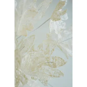 Botanica #2815 3