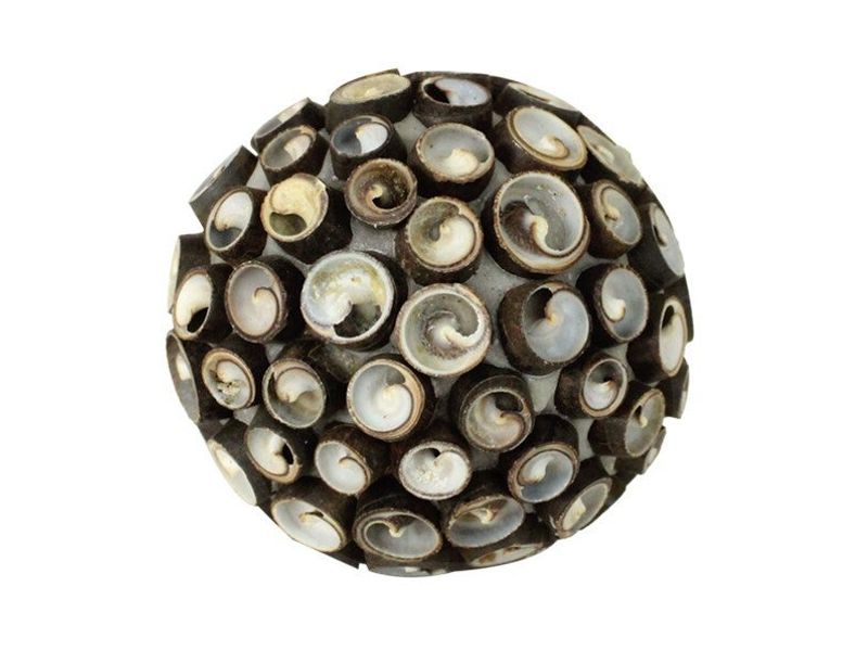 4.3" Esme Seashell Ball 1