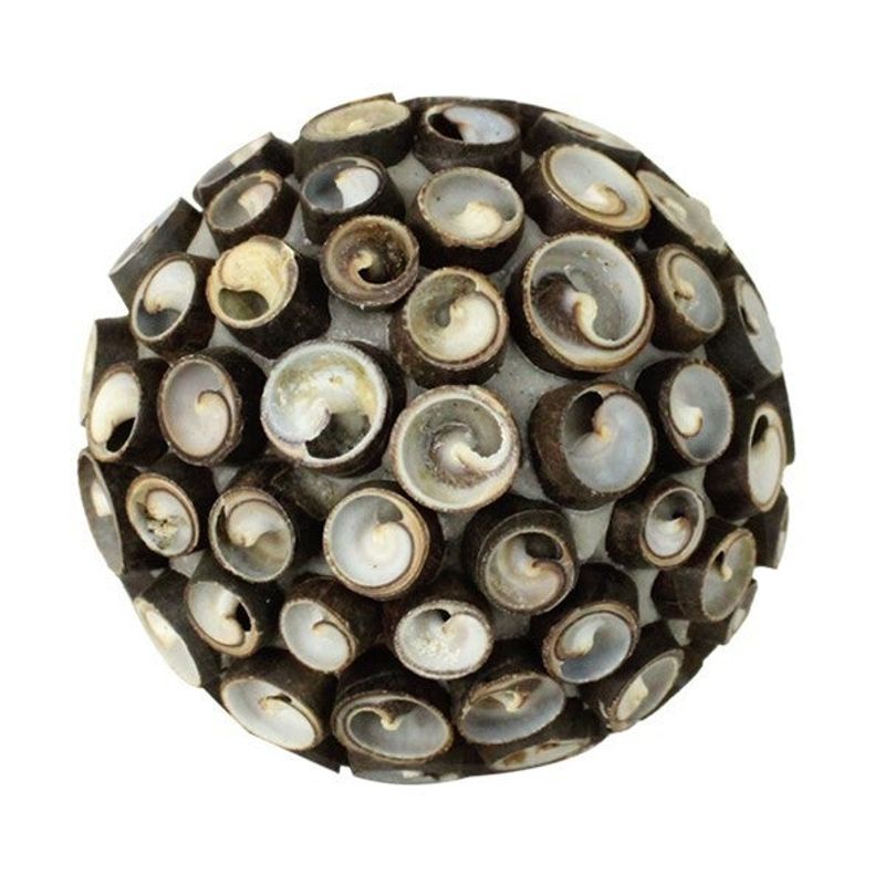 4.3" Esme Seashell Ball