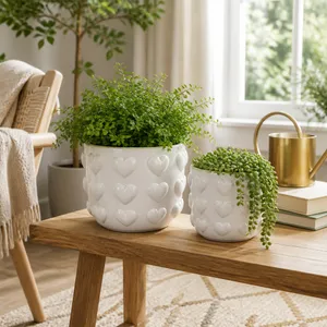 DRAPEROAK SET OF 2 IVORY PLANTER 10 (IN) 11