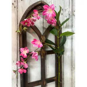 Pink Jasmine 2