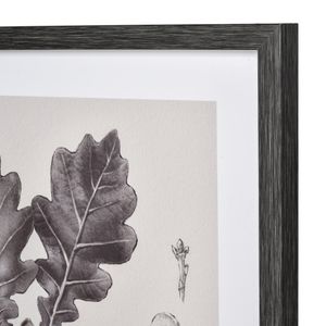 Foliage I Botanic Framed Wall Art - Ivory 4