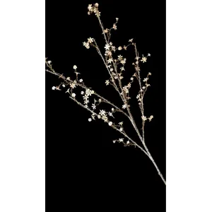 Prairie Wheat Twig 43in 1