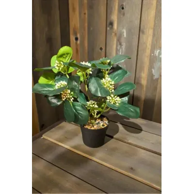 Ivory Bloom Pot 13in