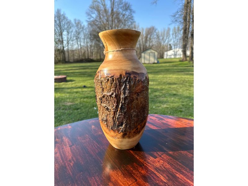 11" Natural Wood Bark Vase 1