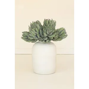 botanica #2859 2