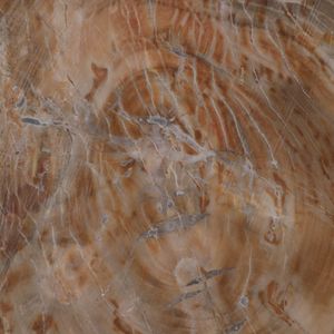 FORRESTHAVEN SILVER TABLE 23 (IN) 9