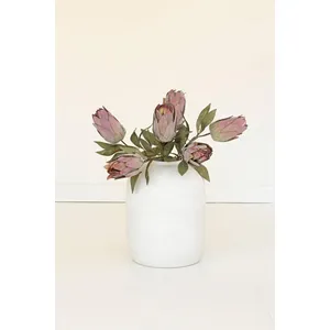 botanica #9032 1