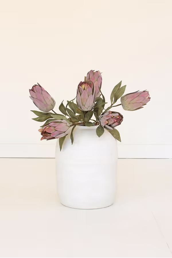 botanica #9032