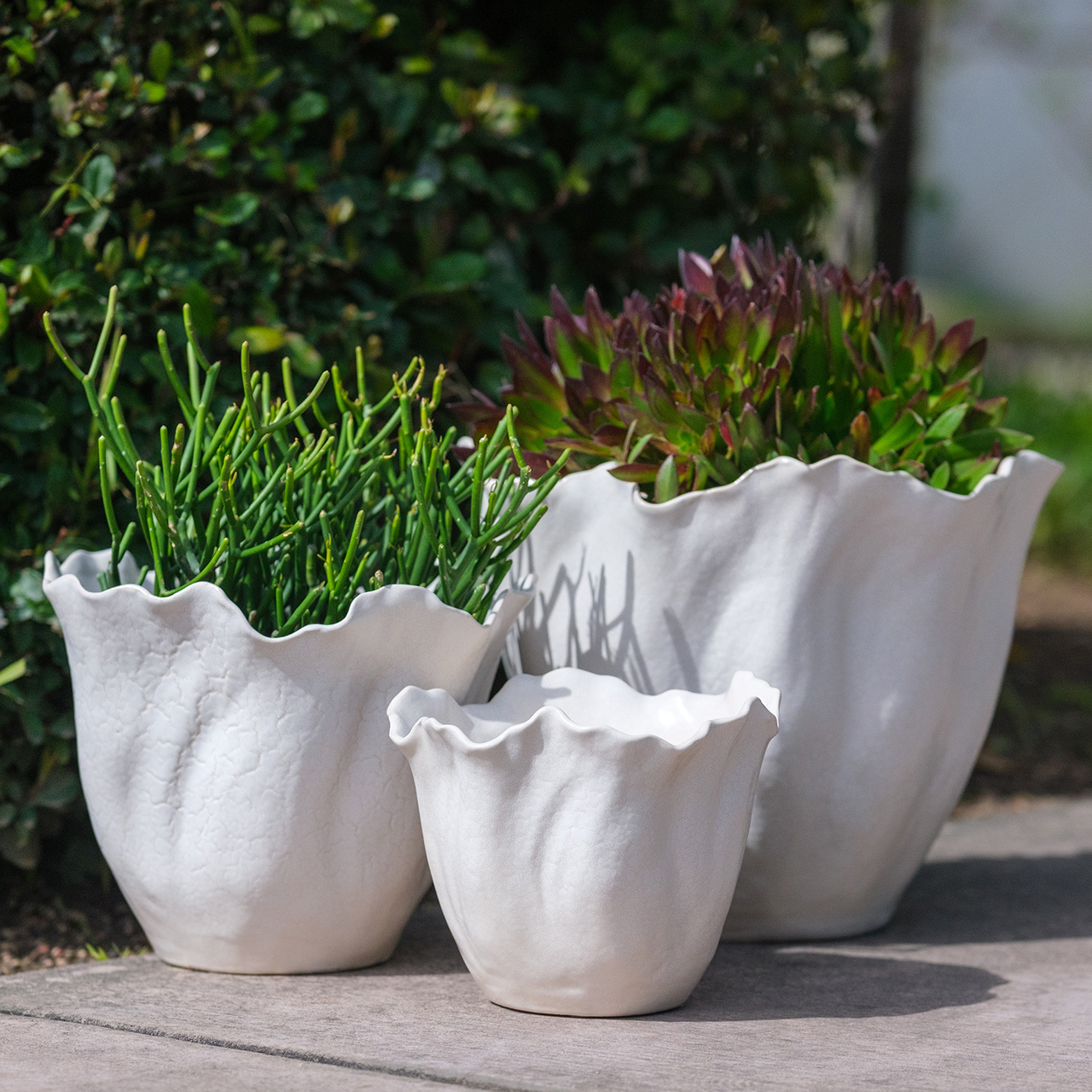 Flora Planters -Set 3 3