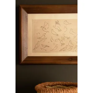 Set of 3 Framed Bird Illustrations Under Glass 3