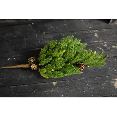 Natural Spruce Pick