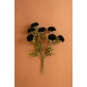 Bundle of 7 Black Ball Dahlias 1