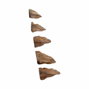CLEOOAK SET OF 5 TAN WALL SCULPTURES 6 (IN) 4