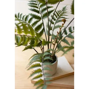 Artificial Fern in a Cement Pot 2