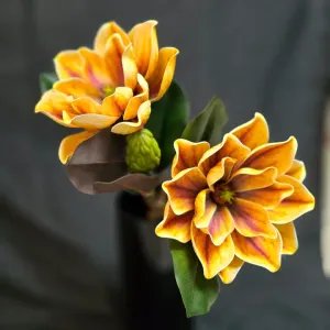 Yellow Butterfly Dahlia 1